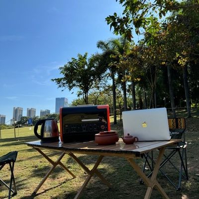 2200W 휴대용 LiFePO4 배터리 발전기 맞춤형