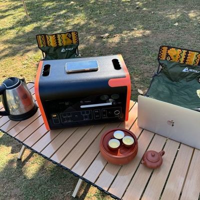 110V 220V 태양광 발전소 1000W 2200W 야외에서 끊김 없는 전력 공급