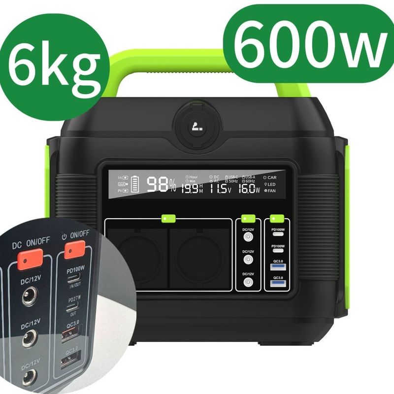 휴대용 저장 시스템, 배터리 제거가 불가능하고 110V/220V AC 발전소